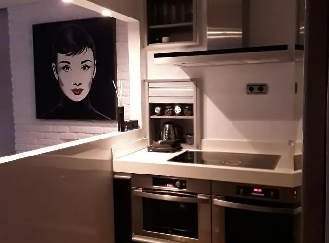 Daire Loft Luminoso Y Centrico